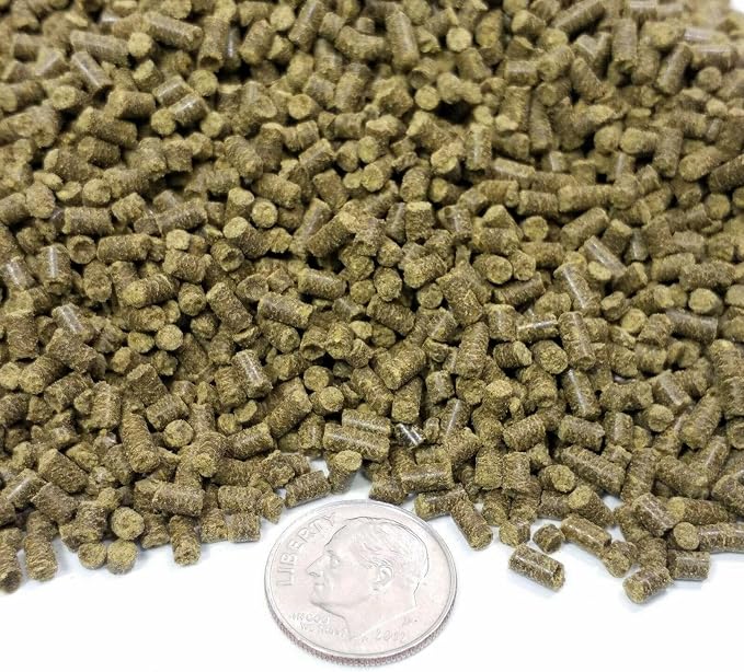 Spirulina Sinking Pellets for Shrimp, Snails, Crabs, Catfish, Plecos for All Tropical Fish 1/16" x 3/8" Pellets by Zeigler...12oz Small Jar