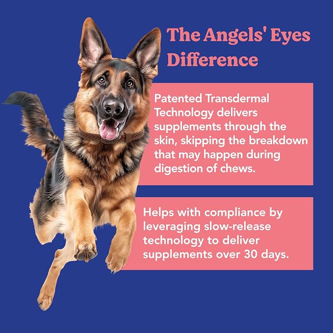 ANGELS' EYES Hip + Joint Mobility Collar for Dogs with Glucosamine, Chondroitin, MSM, and More | Convenient & Easy | 30 Days of Continuous Support | Water Resistant (Small)