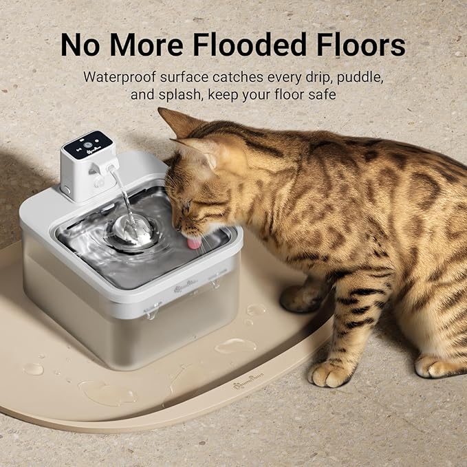 DownyPaws Cat Food Mats for Floors Waterproof, BPA Free Silicone Pet Food Mat, Non-Slip Pet Food Mat with High Raised Edge, Cat Placemat for Messy Drinkers, 18"×12.5", Almond (Pack of 2)