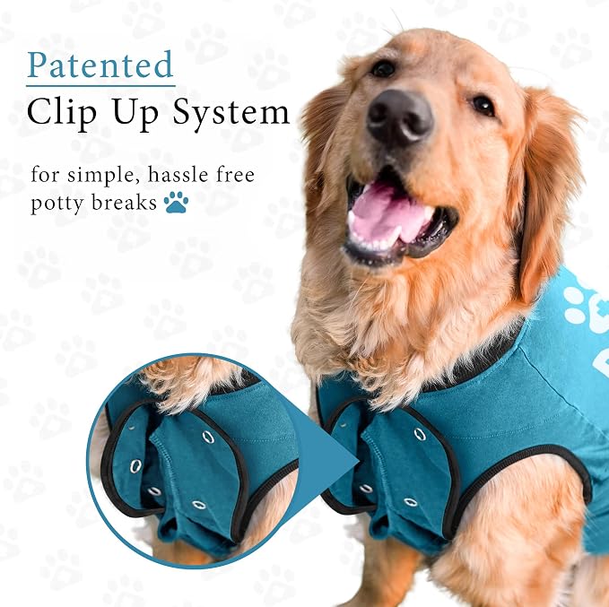 BellyGuard Dog Surgery Recovery Suit, Post-Op Dog Recovery Suit for Female Spay & Male Neuter, Comfy Onesie for Pets, Surgical Body Cover for Canine Healing Support