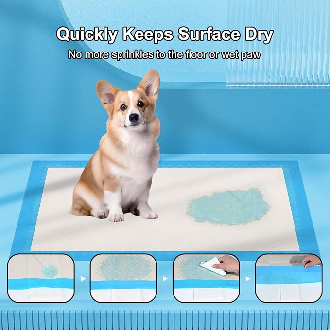 Gardner Pet Pee Pads for Dogs (Green+Blue)