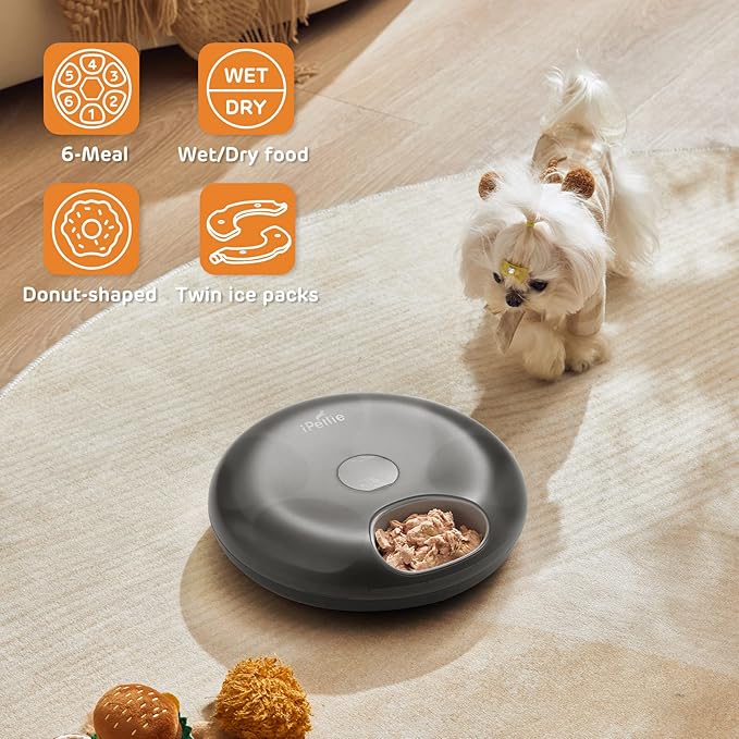 iPettie Donut Frost 6 Meal Cordless Automatic Pet Feeder, Dry & Wet Food Automatic Cat Feeder with Two Ice Packs, Rechargeable Massive Battery, Programmable Timer, Classic Black