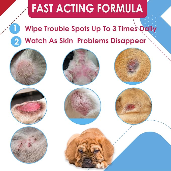 Pet Wipes with Chlorhexidianes Wipes for Dogs & Cats - Chlorhexidianes Wipes for Dogs, Cats and Horses (Made in U.S.A) 100ct (Ketoconazole & Chlorhexidine Wipes, 100 Count)