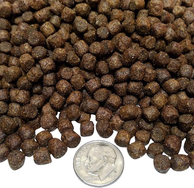5.5mm - 7/32" 45% Protein Cichlid Floating Pellets, for Cichlids, Discus, All Tropical Fish, Koi & Pond Fish. 12-Type Pellet Mix and Sinking Wafer Mix Included -1/2-lb -1-lb