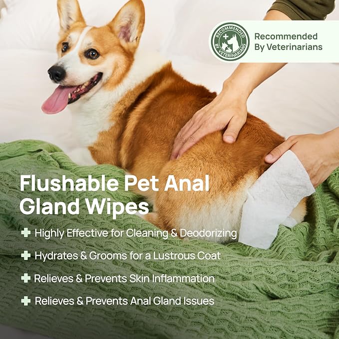 HICC PET Wipes for Dogs & Cats, Vet Recommended Cleaning Deodorizing & Soothing Allergy Infections Anal Gland Wipes, Hydrating & Nourish Fur Dog Grooming Wipes for Paw, Butt, Body-Hypoallergenic