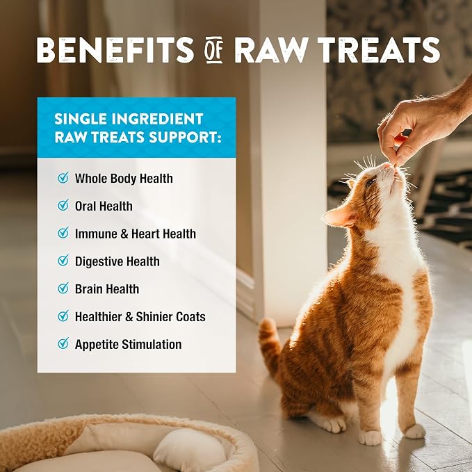 Northwest Naturals Raw Rewards Freeze-Dried Treats - Green-Lipped Mussels (2 oz) & Minnows (1 oz) Treats for Dogs & Cats - Healthy, 1 Ingredient, Human Grade Ingredients, All Natural