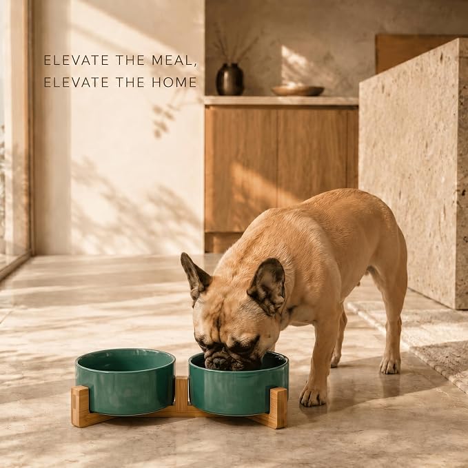 SPUNKYJUNKY Ceramic Dog and Cat Bowl Set with Wooden Stand, Modern Cute Weighted Food Water Set for Small Size Dogs (13.5OZ) & Medium Sized Dogs (28.7OZ) & Cats (3.6 Cups, 2 × Light Green)