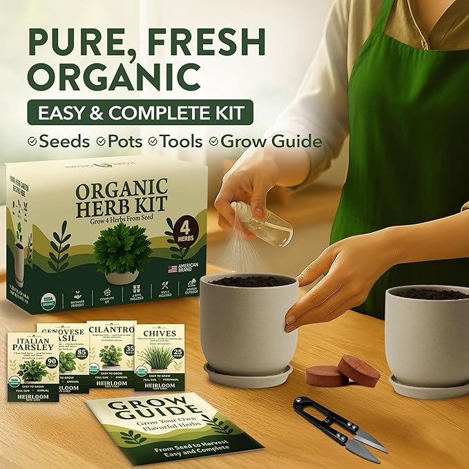HOME GROWN 12,000+ Wheatgrass Seeds & HOME GROWN Indoor Organic Herb Garden Kit – Unique Christmas Gift for Adults, Men, & Women - Grow 4 Herb Seeds