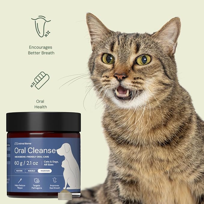 Animal Biome Dental Powder for Dogs & Cats, 60g (180 Scoops) – Oral Cleanse Phage + Kelp Prebiotic Dog Teeth Cleaning Powder, Supports Clean Teeth, Fresh Breath, Sprinkle-on Daily Food Topper w/Scoop