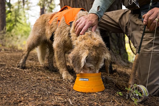 Ruffwear, Bivy Collapsible Dog Bowl, Waterproof Welded Single-Wall Fabric, Ultralight Portable Fold-Flat, Non-Slip Bottom, Accessory Loop, Reflective Trim, 60 fl oz (1.8 L), Salamander Orange, Medium