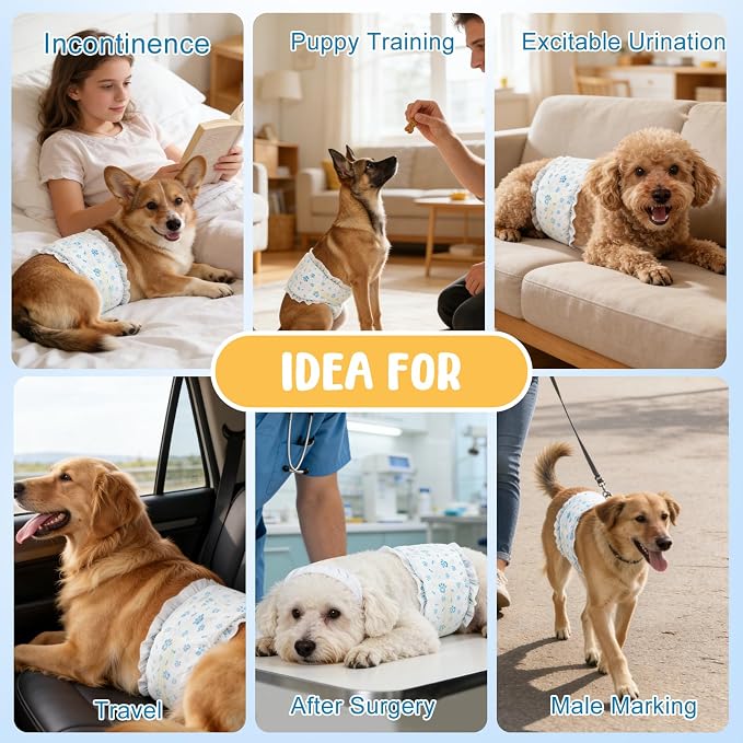 Dog Diapers Male 80 Count Belly Bands for Male Dogs M, Male Dog Diapers Disposable with Wetness Indicator Adjustable Male Dog Wraps Super Absorbent Leak-Proof for Incontinence Marking - Blue