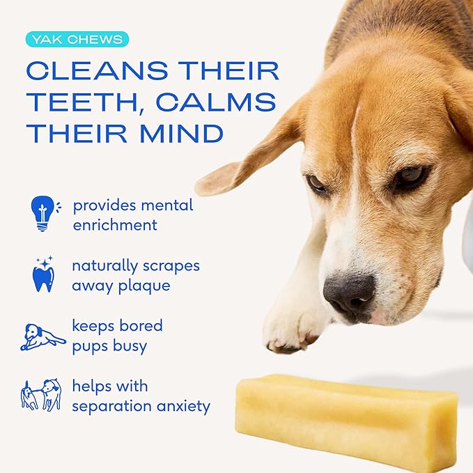 Native Pet Yak Cheese Himalayan Dog Chews - Long Lasting Dental Sticks for Medium Breeds – 100% All Natural Himalayan Yak Chews for Medium Dogs – Cheese Bone for Aggressive Chewers - 10 Per Pack