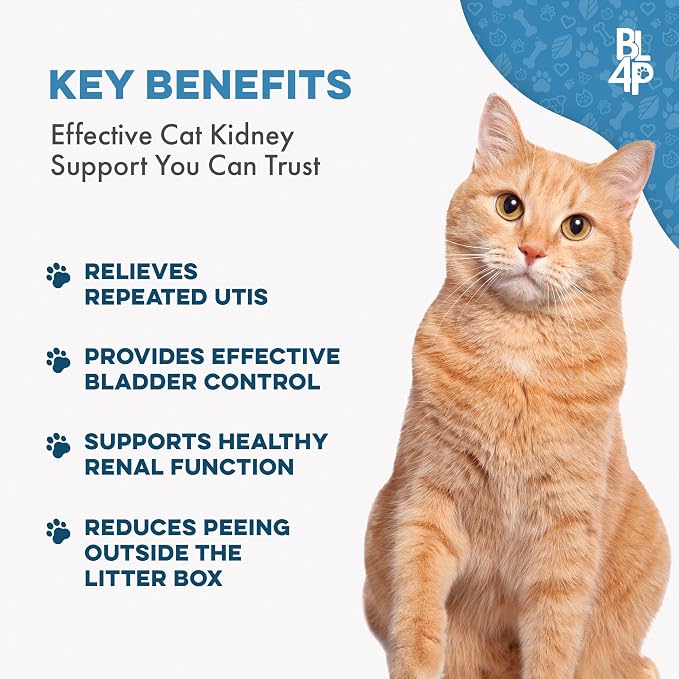 Cat UTI Remedy & Kidney Support for Cats, Natural Urinary Tract Infection and Cat Bladder Crystals Helps Flush Out Kidney Stones & Cat Allergy Relief & Immune Support, Relief for Seasonal Allergies