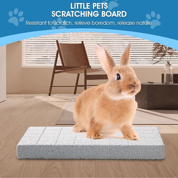 4 Pcs Rabbit Scratch Pads Bunny Grinding Claw Boards Rabbit Chew Stone Bunny Toys for Rabbits Small Animals Teeth Grinding Stone Chew Treat Toys for Hedgehog Chinchilla Hamster Gerbil Rat Digging Pads