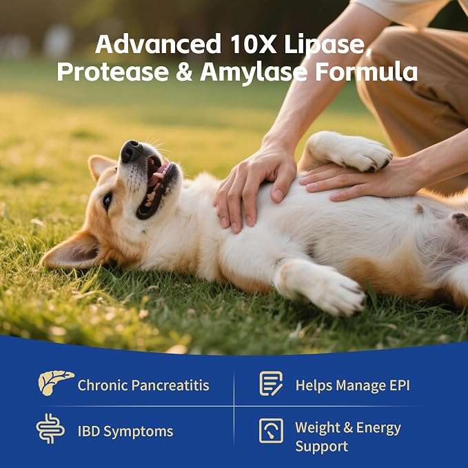 Pancreatic Enzymes for Dogs – 10X Pancreatin Digestive Enzyme Powder – Dog EPI Supplement for Pancreas Support – Helps Restore Weight, Improve Digestion & Relieve GI Stress – 11.99 oz – Vet Formulated