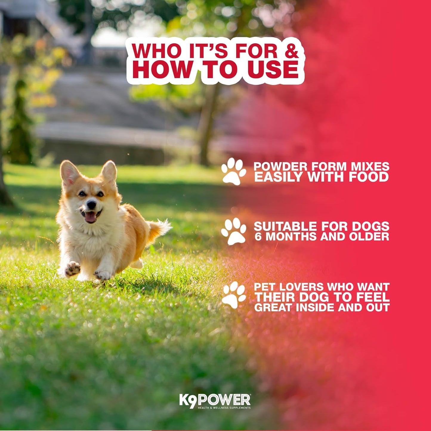 K9 Power Young at Heart Senior Dog Multivitamin 1 lb – Supplement for Brain Heart, Vision & Mobility Support in Senior Dogs - Pack of 2