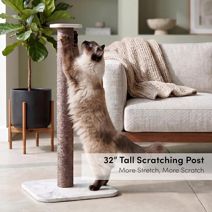 xympo 32" Sisal Scratching Post