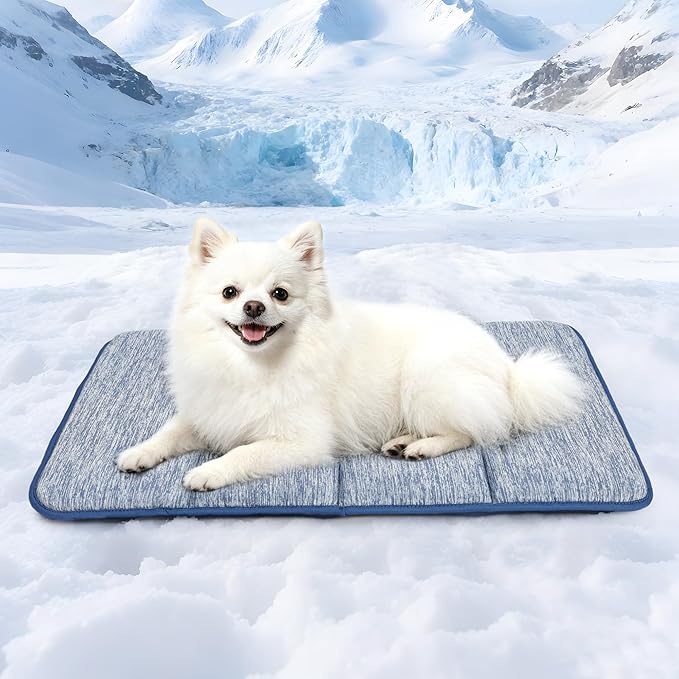 Dog Cooling Mat for Large Dogs – 24"x18" Orthopedic Memory Foam Pad for Summer, Hot Weather & Joint Relief | Washable, Non-Slip Crate Mat for Senior Dogs, Travel & Home (Wander Blue)