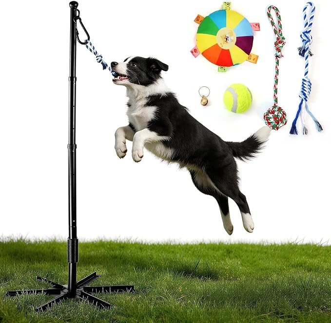 CWV Outdoor Tug of War Dog Toy for Large Dog, Tether Interactive Dog Solo Play Exercise Kit with 4 Kind of Toys for Self Play and Interactive