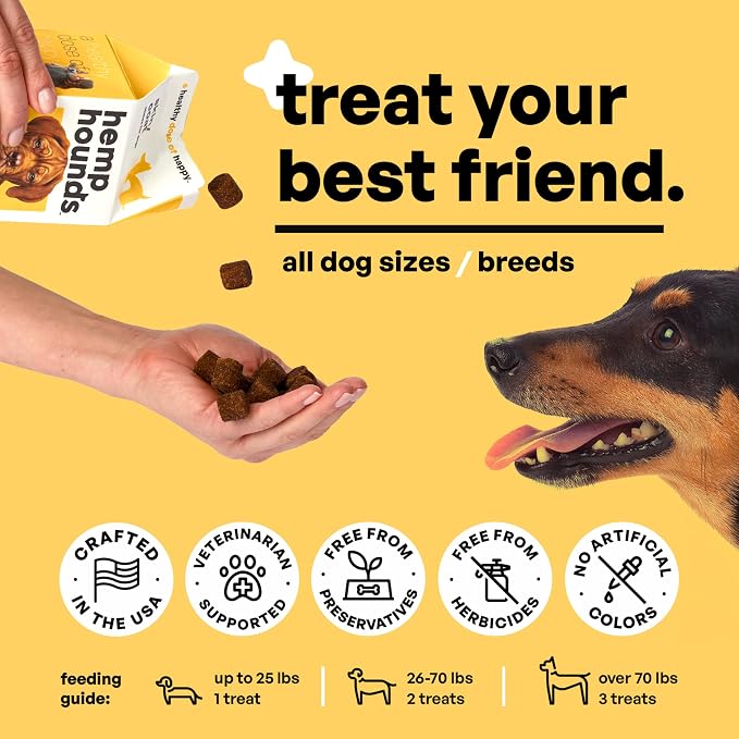 Hemp Hounds - Adaptogenic Skin and Coat Chews for Dogs - 90 Chews - Nutrient Rich Dog Allergy Relief - Omega 3-6-9 - Norwegian Salmon Oil - Collagen - Turmeric - Beef Flavor - Dog Itch Relief