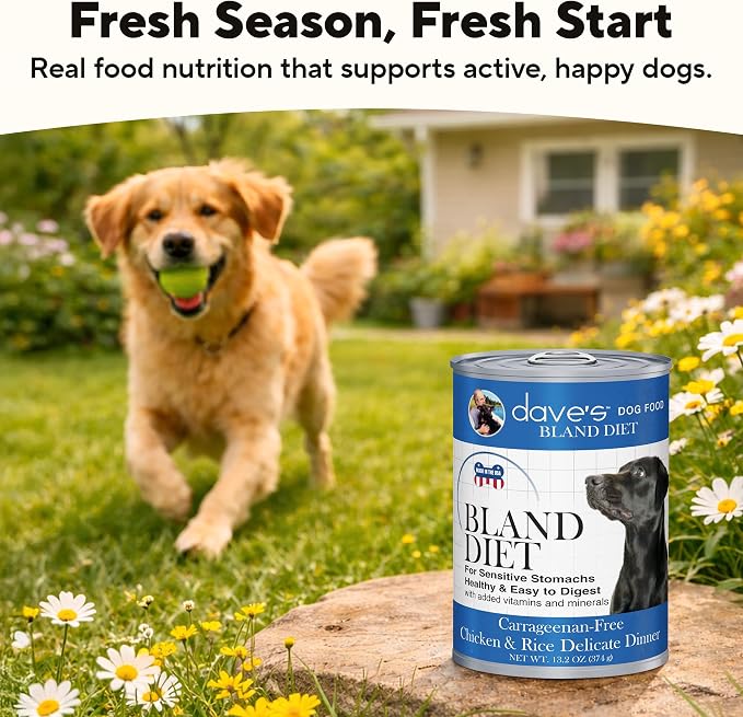 Dave's Pet Food Bland Diet Dog Food (Chicken & Rice), Sensitive Stomach, Easy to Digest Pate, Gluten-Free, Digestive Care, Low Fat (6%) Limited Ingredients, Complete & Balanced, 13.2 oz (Case of 12)