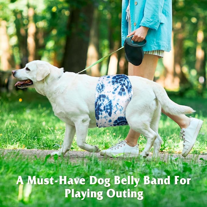 5 Pack Dog Diapers Male Reusable, Belly Bands for Male Dogs, High Absorbing Dog Pee Wraps for Doggie in Incontinence and Training Tiedye S