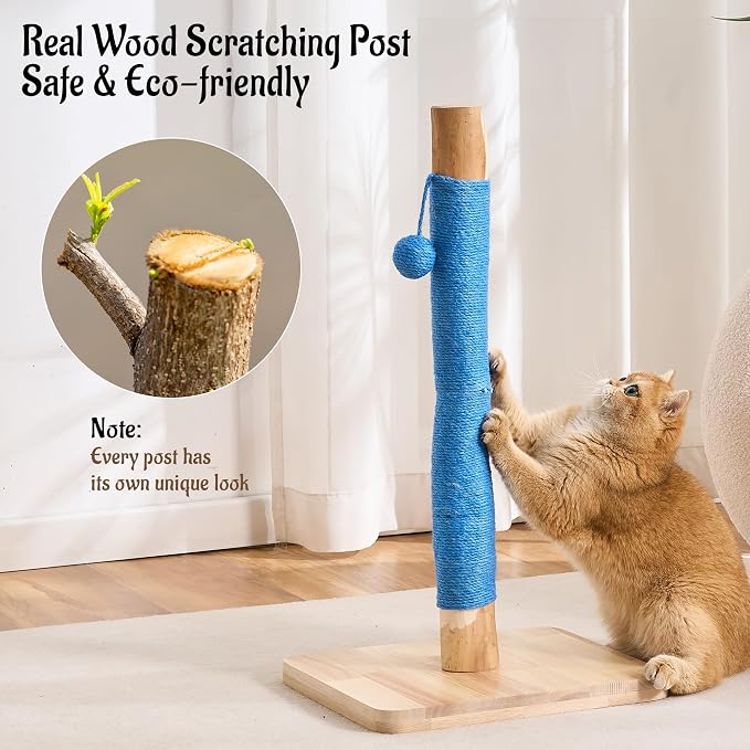29" Tall Solid Wood Cat Scratching Post for Indoor Cats, Extra Stable Heavy Base, Natural Sisal Scratcher with Hanging Ball, Furniture Protector for Kittens & Adult Cats, Blue