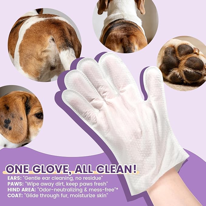 IMMHABI 100 Count Cleaning Deodorizing Pet Glove Wipes for Dogs & Cats, Hypoallergenic Dog Bath Wipes with Natural Deodorizer Persimmon Tannin, Pet Bathing Wipes for Horse Coat Care Lavender Scent