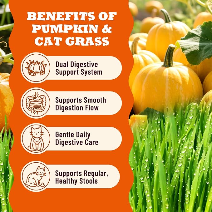 Lickable Cat Treats with Lick-Up Spoons, Healthy Wet Cat Snacks for Digestive Support, Grain-Free Kitten Treats with Taurine & Vitamins, Cat Grass & Pumpkin Variety Pack (32 Spoons)