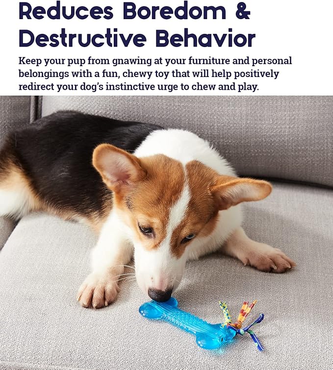 Bone Mini Dog Chew Toy & Treat Stuffer for Teething Puppies & Small Dogs up to 20 lbs, Bounces & Floats, Textured for Dental Support, Moderate Chewers, 5.5"