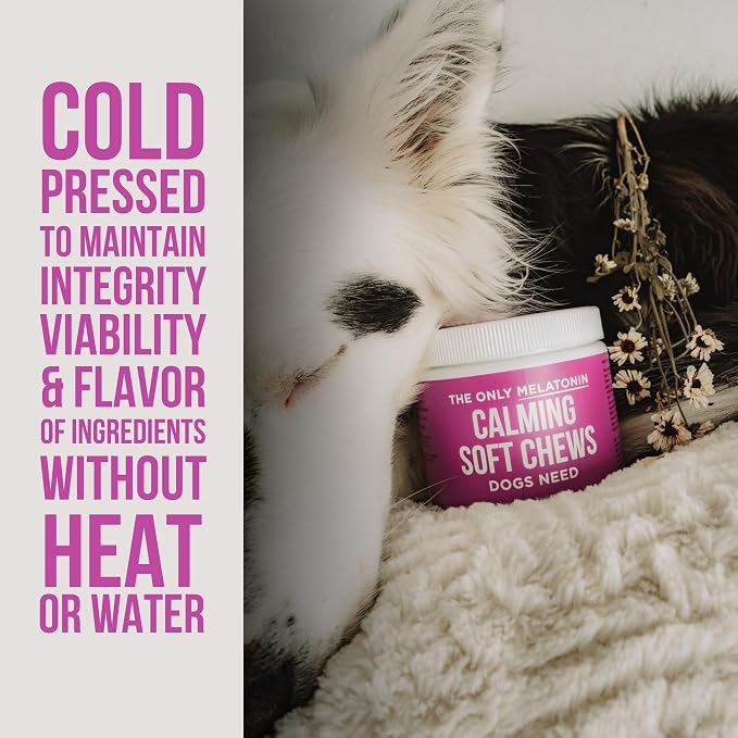 Natural Rapport Dog Calming Chews - The Only Melatonin Soft Chews that Dogs Need - 120ct Contain Melatonin, Valerian Root and Chamomile