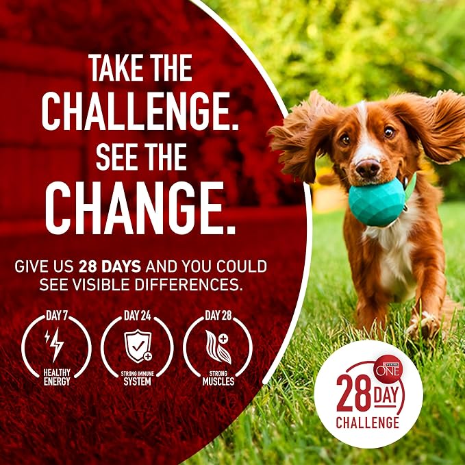 Purina ONE Natural, Sensitive Stomach Dry Dog Food, +Plus Skin & Coat Formula - 16.5 lb. Bag