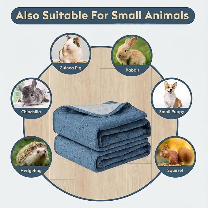 FunFurry Washable Pee Pads for Dogs - 2 Pack Reusable Pee Pads，Waterproof Puppy Pads，Pet Training Pads，Super Absorbent with Dog Paw Shape Non-Slip Backing (Blue, 18" X 24" - 2 Pack)