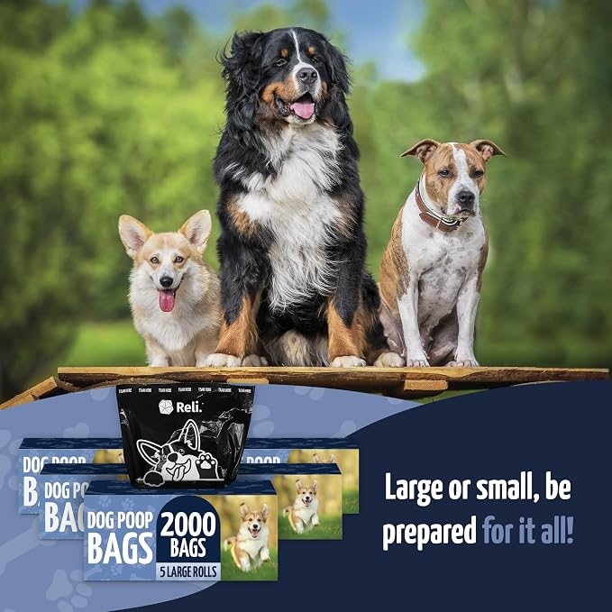 Reli. Dog Poop Bags (2000 Pack, 5 Large Rolls) | 9"x13" Large Poop Bags for Dogs | Unscented, Leak Proof for Doggie/Pet Waste Clean Up | Black | Dispenser Box | Bulk