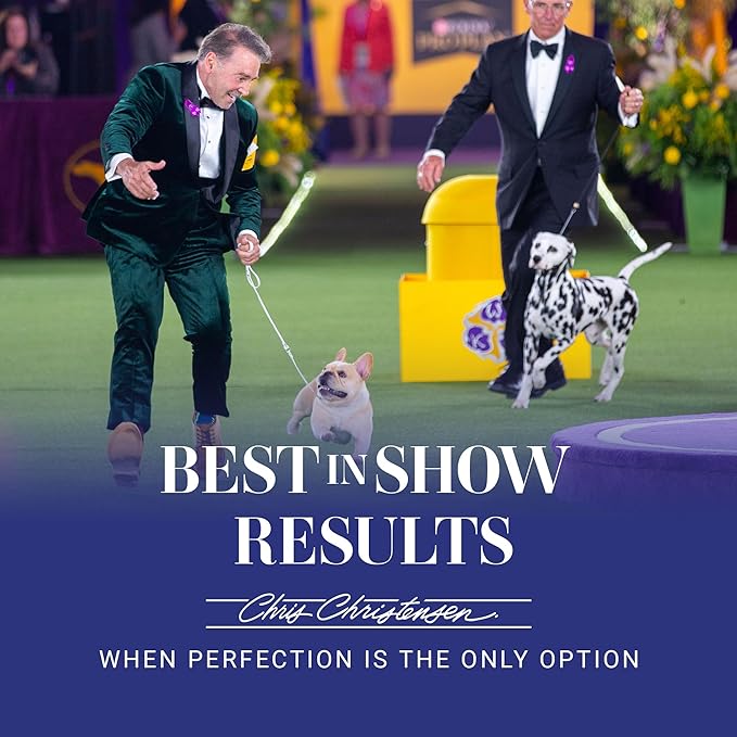 Chris Christensen Mark I Slicker Brush for Dogs, 12mm Pins, Groom Like a Pro, Handcrafted Lightweight Beechwood Ergonomic Handle, Stainless Steel Pins, A5I X-Small. Made in Germany.
