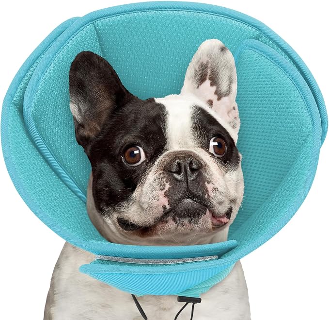Queennmore Soft Recovery Cone for Small Dogs & Cats,Adjustable Comfy Dog Cone Alternative for Post-Surgery Wound Healing,LightBlue,S