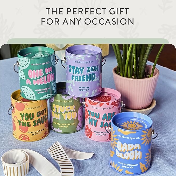 Modern Sprout Complimentary Color Grow Kits (Pack of 6) - Seed Starter Kit - Includes Strawberry, Sunflower, Cactus, Tomato, Melon & Lavender Seeds - Gardening Gifts that Grows with Love