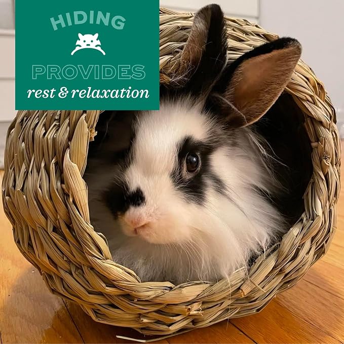 Oxbow Timothy Hay Bungalow, Rabbit & Guinea Pig Hideout, Edible & Hand-Woven Bunny House, No Wires or String, Small Pet Accessories, for Rabbits, Guinea Pigs, Chinchillas & Rats, Medium
