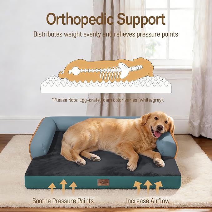 Comfort Expression Memory Foam Dog Bed - Washable Pet Bed for Big Dog Waterproof Orthopedic Dog Beds with Removable Cover ，Non-Slip Pet Couch Sofa- 36 x 27