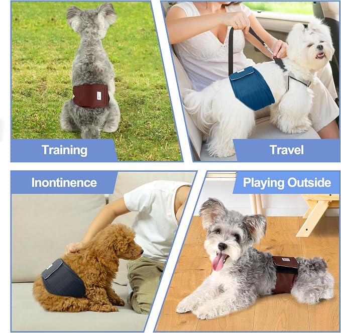 Reusable Dog Diapers Male 3Pcs, Premium Washable Belly Bands for Male Dogs XSmall, High Absorbing Male Dog Wraps for Doggie & Puppy in Incontinence, Excitable Urination and Training XS