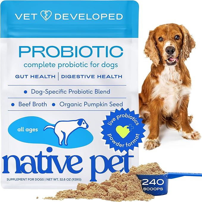 Native Pet Probiotics for Dogs – Dog Probiotic Powder for Gut & Digestive Health, Vet-Formulated 6B CFUs Dog-Specific Probiotic Strains, Supports Stool Quality & Diet Transitions – 240 Scoops