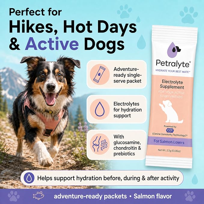 Dog Electrolytes and Joint Supplement | Glucosamine, Chondroitin & MSM for Inflammation and Mobility Support | Electrolytes for Dogs with Prebiotics | Salmon Lovers | 16 Packets
