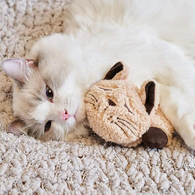 ALL FOR PAWS Cat Toys for Indoor Cats, Purring Cat, Cat Plush Toy, Cat Pillow, Anxiety Toys, Kitten Toys, Pet Toy