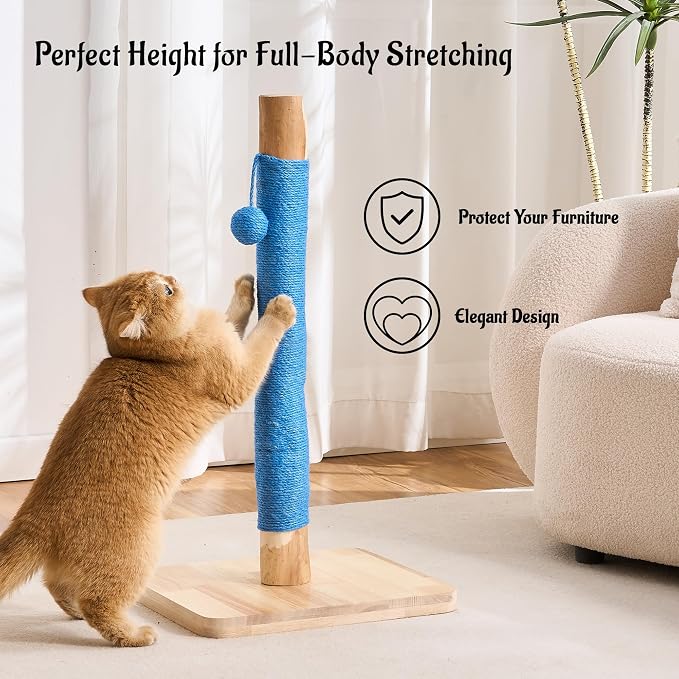 29" Tall Solid Wood Cat Scratching Post for Indoor Cats, Extra Stable Heavy Base, Natural Sisal Scratcher with Hanging Ball, Furniture Protector for Kittens & Adult Cats, Blue
