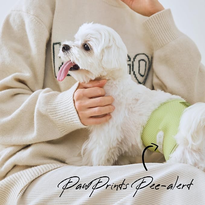 WICKEDPUP Male Dog Belly Band Kit, 50 Diaper Pads & 1 Reusable Male Wrap (Size 0 (10.5"-14" Waist))