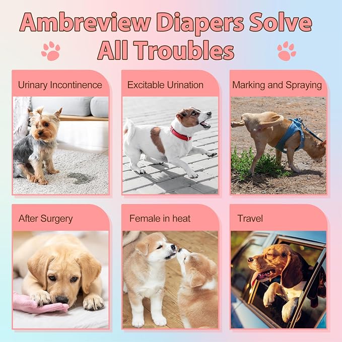 Ambreview Disposable Dog Diapers Female, Just Pull It Up, Doggie Diapers for Female Dogs, Strong Absorbency | Leak Proof, for Dogs in Heat | Elderly | Disabled, S 100 PCS