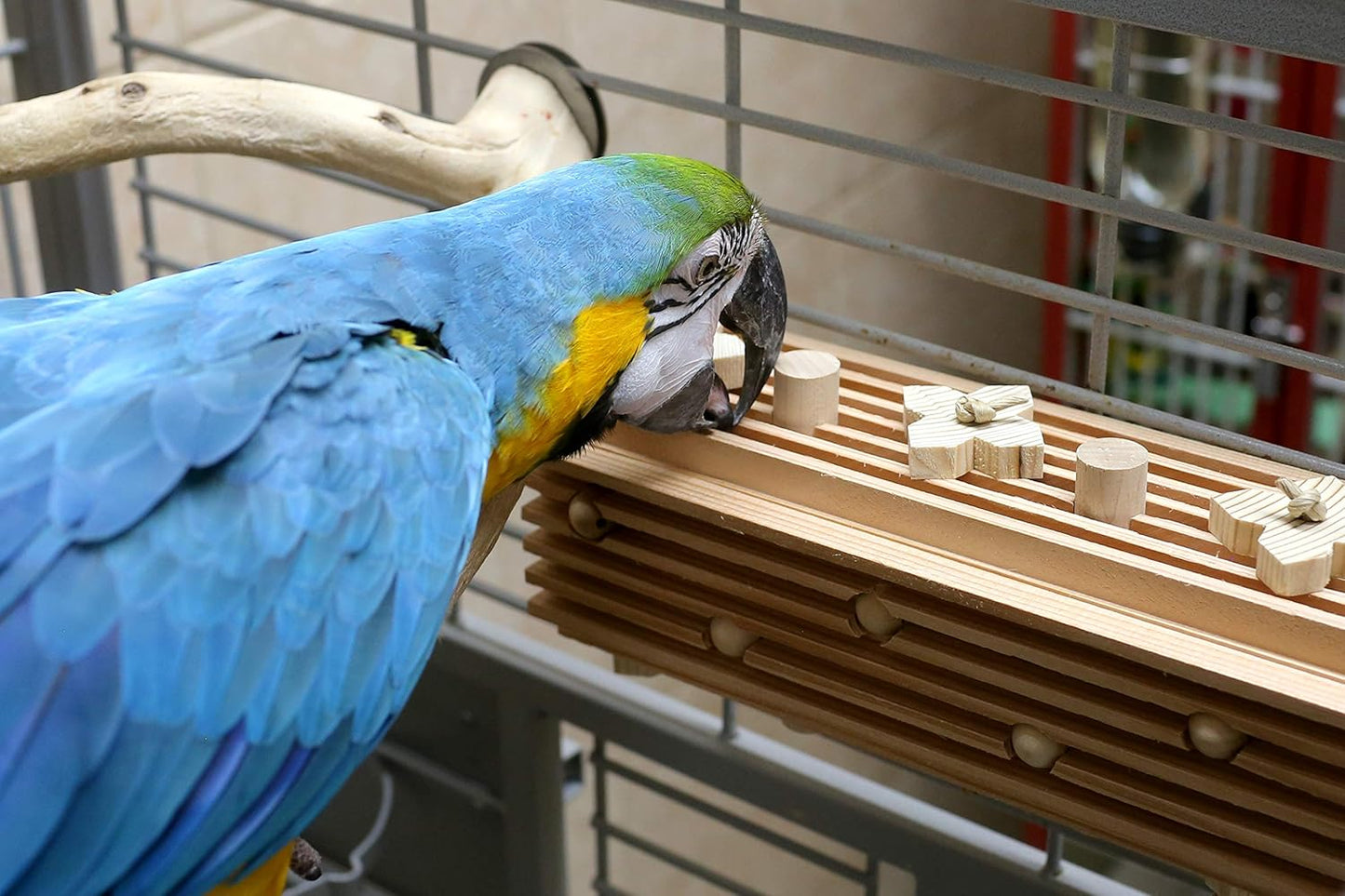 Activity Block - Large Parrot Toy