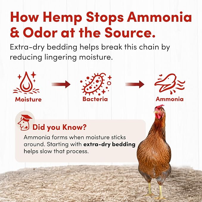 RentACoop Extra-Soft Premium Hemp Bedding 300L – Super Absorbent, Low Dust, Natural Odor Control for Chicken Coops, Nest Boxes, Small Animals, Reptiles & Horses