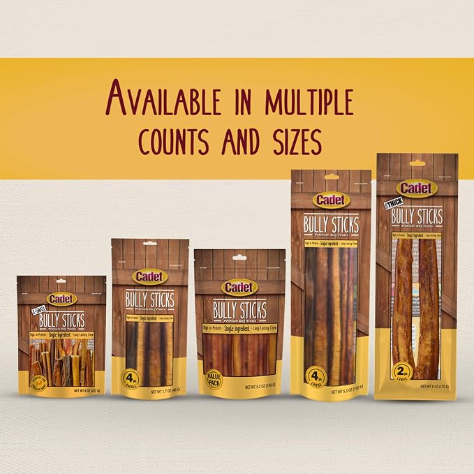 Cadet Bully Sticks for Small Dogs – All-Natural Beef Pizzle, High Protein, Low Fat, Long-Lasting, Grain & Rawhide-Free Dog Chews for Aggressive Chewers, Small (12 Ounce)