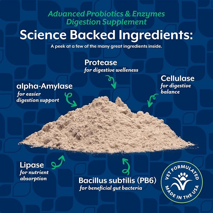 NaturVet – Advanced Probiotics & Enzymes - Plus Vet Strength PB6 Probiotic | Supports and Balances Pets with Sensitive Stomachs & Digestive Issues | for Dogs & Cats (4 oz)
